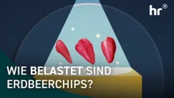 Healthy Snack or Pesticide Trap? Freeze-Dried Strawberries Put to the Test