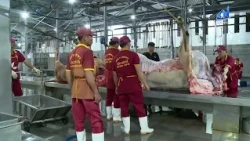 Tây Ninh: Đẩy mạnh phát triển chăn nuôi theo hướng hiện đại, an toàn sinh học