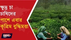 TOKLAI LAUNCHED TO ASSIST SMALL SCALE TEA GROWNERS | চা চাষিদের জন্য নতুন AI টুল ||