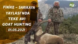 GOAT HUNTING İBRAHİM SELVİ FİNİKE - SARIKAYA YAYLASI TEKE AVI