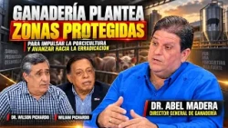 BUSCAN RECUPERAR LOS NIVELES DE PRODUCCIÓN PORCINA PREVIOS A LA PESTE AFRICANA