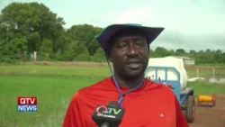 KOPIA GAMBIA INTRODUCES NEW HERBICIDE METHOD TO BOOST RICE FARMING EFFICIENCY.