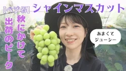 [Veggie Savings] Grapes