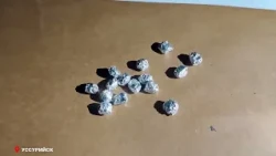 Police dismantle heroin distribution ring in Primorye