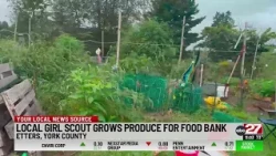 Local girl scout grows produce for food bank