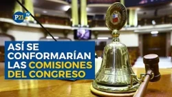 Who will make up the CONGRESSIONAL COMMITTEES? And what happened to Deputy Julián Pérez?