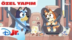 Bluey: Uçan Daire Şarkısı | Bluey | @DisneyPlusTR