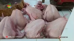 CHICKEN PRICES HIT 40 THOUSAND RUPIAH PER KILO, TRADERS COMPLAIN ABOUT LACK OF CUSTOMERS