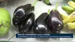 "Consume Local" Month in Benin: Price gaps, the major concern for Beninese producers