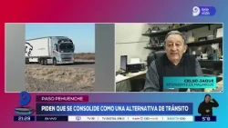 Pehuenche Pass: Calls to establish it as an alternative transit route to Chile