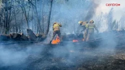 Rapid intervention extinguishes fire in Oliveira do Hospital in under an hour