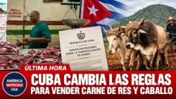 CUBA CAMBIA LAS REGLAS PARA VENDER CARNE DE RES Y CABALLO