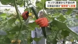 Fears of declining summer vegetable quality and yields… Concern over dangerous heat in Kumenan, t...