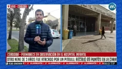 Otro nene de 3 años fue atacado por un pitbull en Córdoba y recibió 65 puntos en la cara