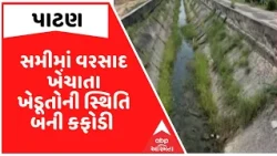 Patan | સમી તાલુકામાં ખેડૂતોની સ્થિતિ કફોડી બની, દેવું કરીને કરેલું વાવેતર નિષ્ફળ