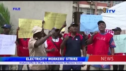 ELECTRICITY WORKERS' STRIKE: Analysts Differ On Ways To Handle Outcome Of Workers' Action