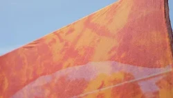 Botanical Dyer: Cultivating Color