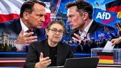 You Need to Know (2142) What can be done to make the AfD repulsive to Germans?