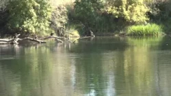 Man drowns in American River; officials urge water safety