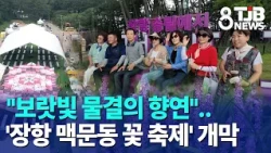 "A Feast of Purple Waves".. 'Janghang Liriope Flower Festival' Kicks Off｜ TJB Daejeon·Sejong·Chun...