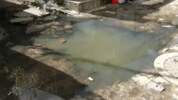 Torrões residents report open sewage