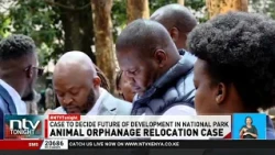 Petitioners say armed KWS personnel barred court-ordered site visit of Nairobi National park