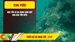 CA MAU NEWS JULY 21, 2026 | CONSERVATION AND BIODIVERSITY IN THE MARINE PROTECTED AREA