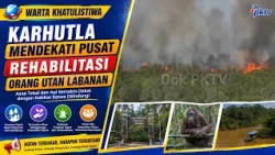 Forest Fires Approach Labanan Orangutan Rehabilitation Center