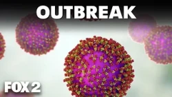 Cyclosporiasis cases rising across Michigan, health officials say