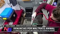 Municipality intervenes and removes dogs from owner following animal abuse reports