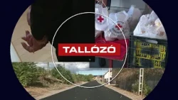 Jogerős ítélet, megújuló utca és segítség a családoknak – Tallózó – 2026.10.16.
