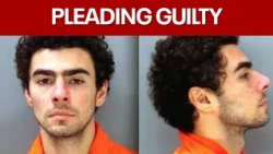 Luigi Mangione pleads guilty to federal stalking charges