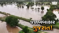 જળબંબાકાર ગુજરાત! ખૂણે-ખૂણે વરસાદનો હાહાકાર, નદીઓએ ગળી ગામો, ખેતરો તળાવ બન્યા