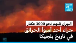 بلجيكا تواجه أحد أسوأ الحرائق في تاريخها والنيران تلتهم نحو 3000 هكتار