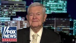 Newt Gingrich: These people are CRAZY