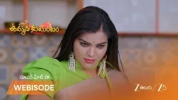 Ummadi Kutumbam |   ప్రీతీ తాగే పాలలో విషం కలిపిన అనన్య?