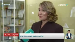 Ұлы даланың қырандары