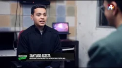 Bichos de ciudad - Domingo 19/07/2026