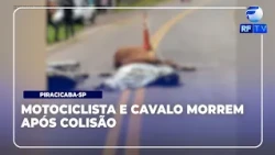 Total Alert - Motorcyclist dies after colliding with a horse on Luiz Dias Gonzaga Highway