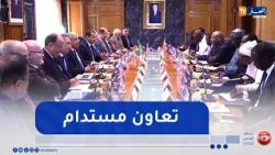 الجزائر-  النيجر: شراكة استراتيجية وإشادة بدور الجزائر في تطوير قطاع الطاقة