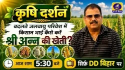 How Can Farmers Grow Millets in a Changing Climate? | Learn Easy and Effective Methods