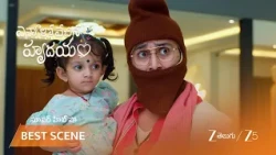 Ennallo Vechina Hrudayam | పాప విషయం లోరచ్చ చేసిన పార్వతమ్మ?