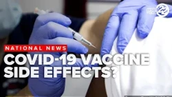 Senate investigates what health officials knew about COVID 19 vaccine side effects