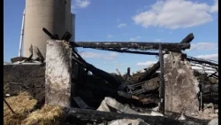"It's a devastating loss" fire kills horses and destroys barn at Seymour pumpkin patch