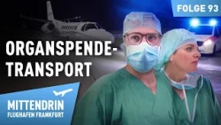 Organ Transplant Transport – Night Operation at the Airport | In the Thick of It - Frankfurt Airp...
