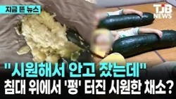 中서 유행 "시원해서 안고 잤는데…" 침대 위에서 '펑' 터진 시원한 채소?｜ TJB 대전·세종·충남뉴스
