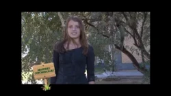 Ekolosko opismenjavanje - 2.  emisija