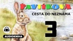 Pavlíkova cesta do neznáma | Kapitola 03/09 | Audiokniha