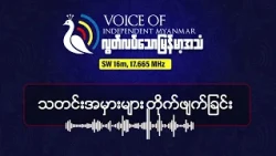 PDF တွေကို မထောက်ခံဘူးလို့ ဒေါ်အောင်ဆန်းစုကြည် ပြောတယ်ဆိုတဲ့ သတင်းအမှား | လွတ်လပ်သောမြန်မာအသံရေဒီယို