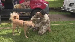 Connecticut U.S. Army soldier reunites with dog from overseas